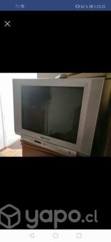 Televisor (tv)