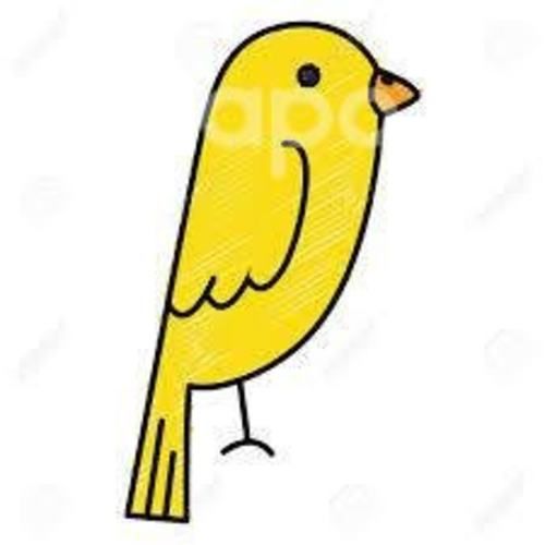 Deseo tener un canarito