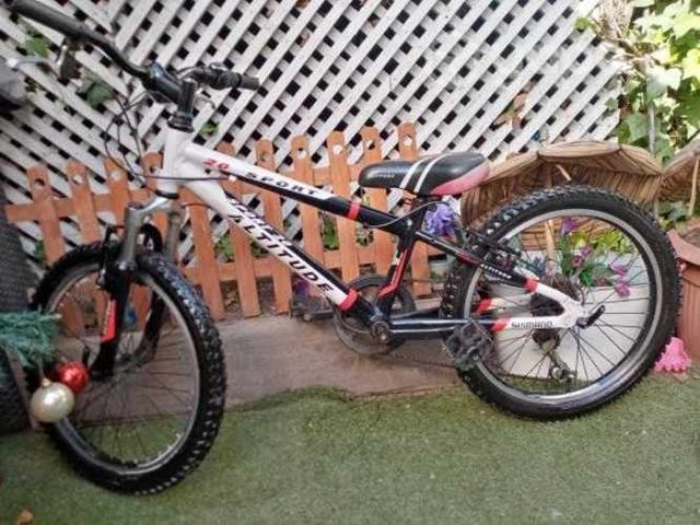 Altitude niño aro 20