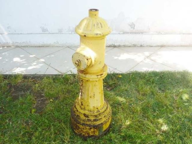 Grifo decorativo para jardín