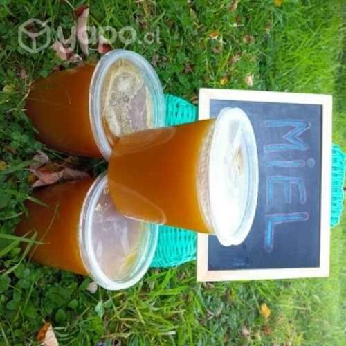 Miel ULMO recién sacada