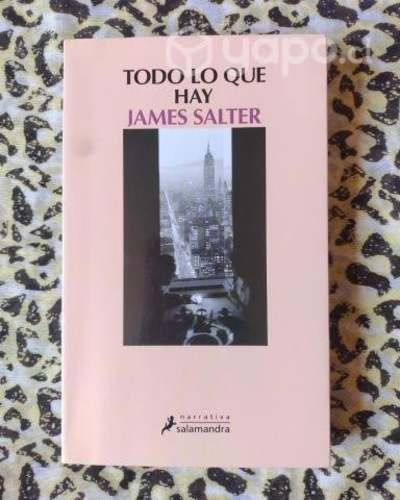 Todo lo que hay - James Salter