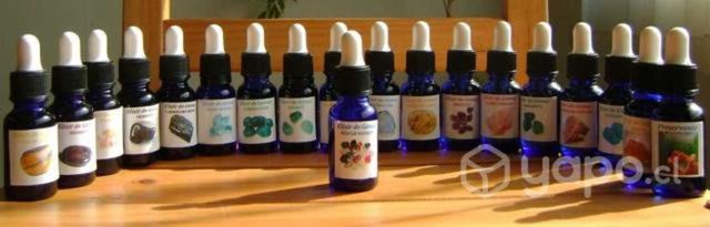 Elixir de Gemas 30 ml Despacho Gratis