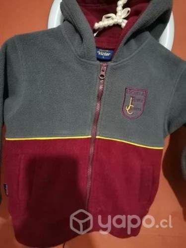 Polar colegio Javiera carrera