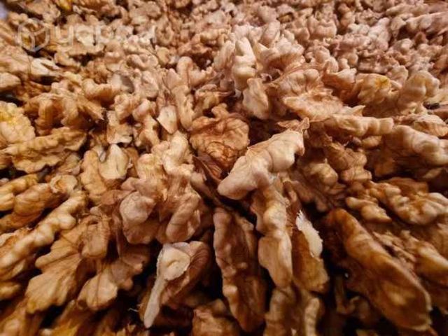 Nueces Chandler 2022