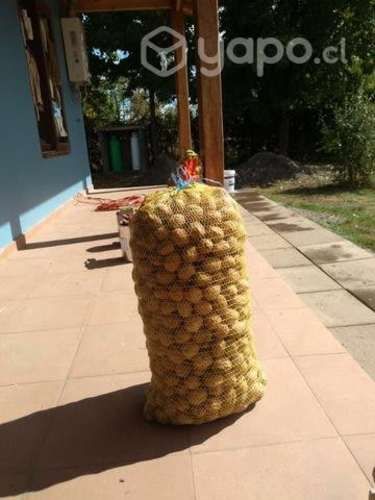 Nueces Chandler 2022