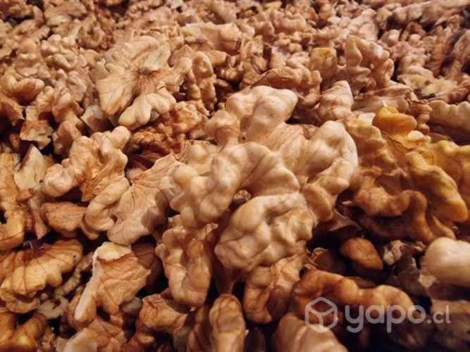 Nueces Chandler 2022