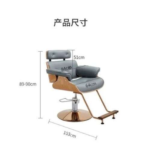 Sillón Peluquería Hidráulico Silla Para Corte