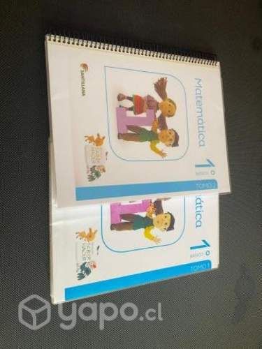 Libros Santillana 1 basico