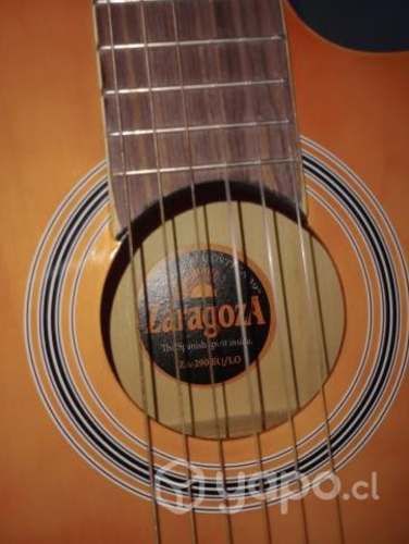 Guitarra Zaragoza, bicicleta