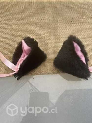 Pinche, orejas de gato