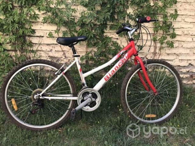 Bicicleta Bianchi Pro26 ST