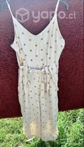 Enterito American eagle