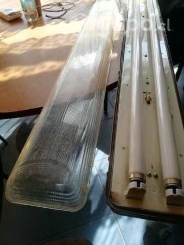 Floreciente buen estado