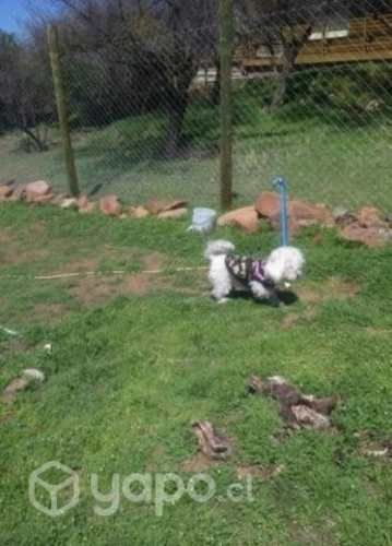 Parcela Hermosa vista