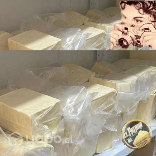 Quesos frescos, mantecosos, natas