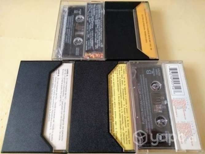 Mt77: tapes florcita motuda