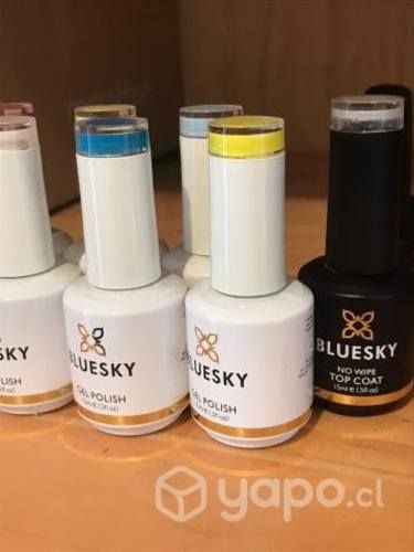 Lote de 13 Esmaltes permanentes BLUESKY nuevos