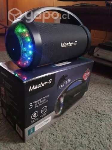 Radio Maste G Panter 3