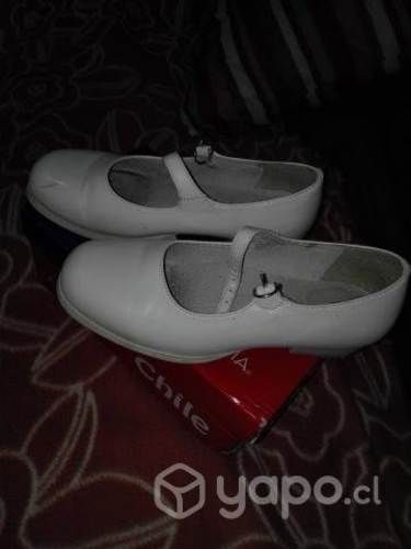 Zapato cueca numero 33