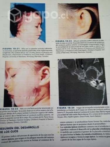 Embriología clínica de Moore