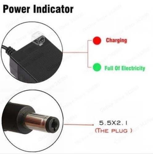 Cargador de Smart Balance Scooter Patineta 42V 2A