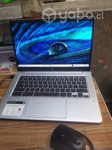 Hp Chromebook