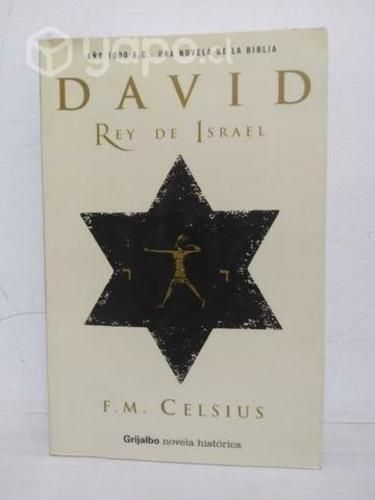 David rey de Israel