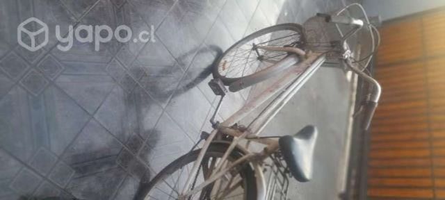 Bicicleta mujer con canasto Oxford