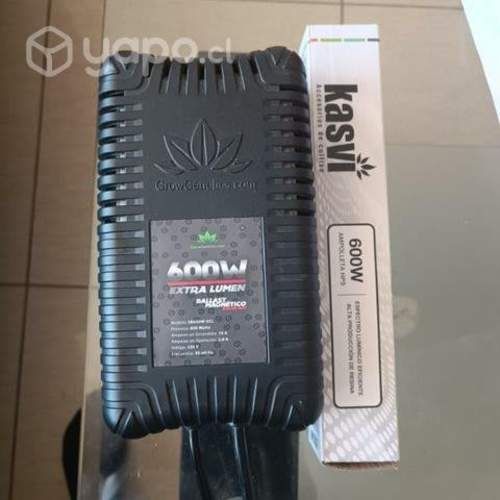 Balun para ampolleta indoor para cultivo de planta