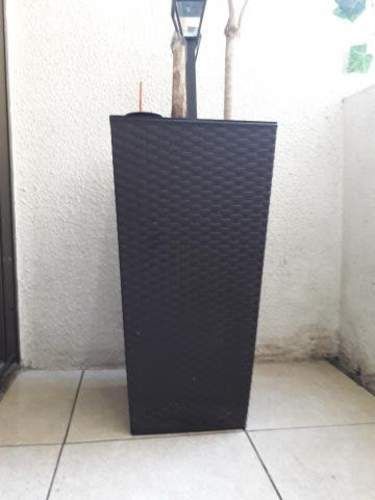 Hermosas palmeras interiores