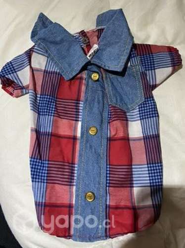 Camisa perrito