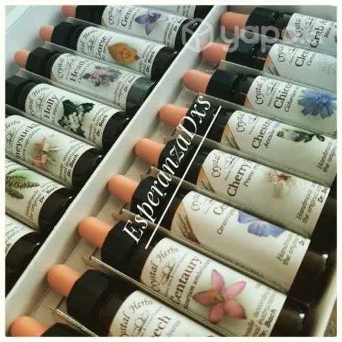 Terapia Flores de Bach