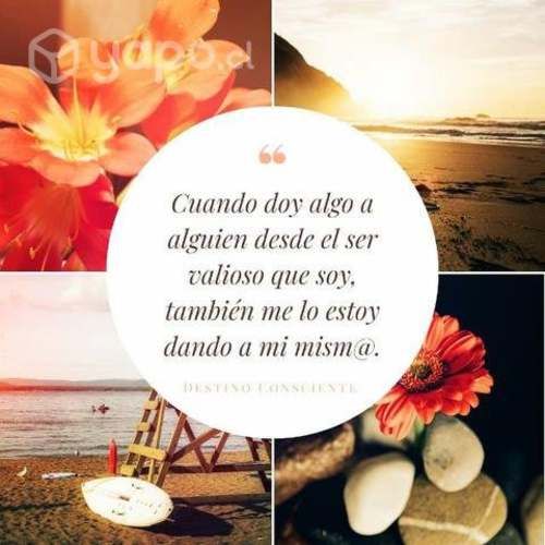 Terapia Flores de Bach