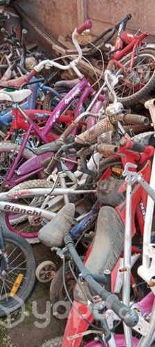 Lote de bicicletas de niño