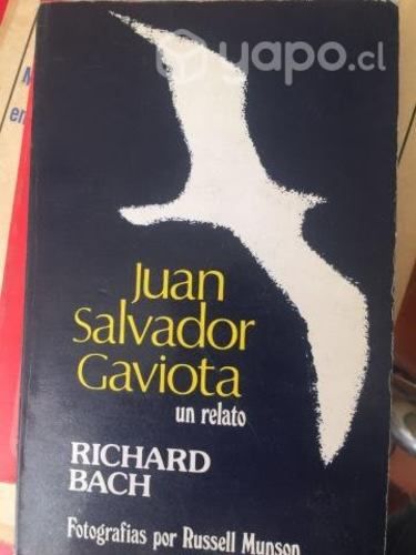 Juan Salvador Gaviota