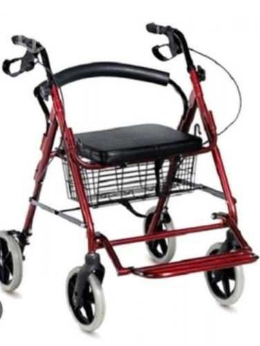 Burrito de paseo o ayuda