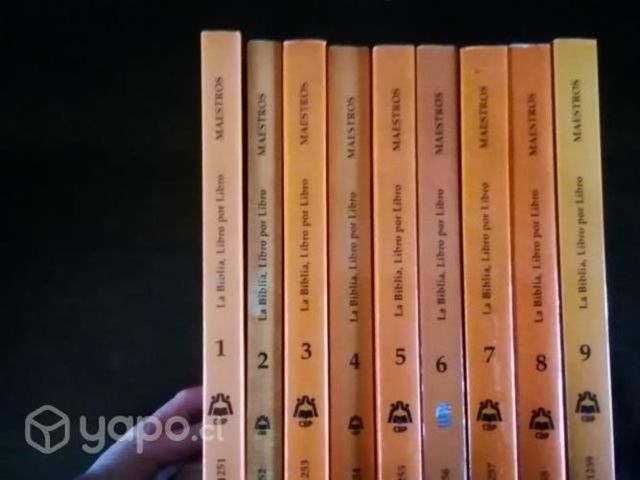 Enciclopedia la Biblia libro por libro para maestr