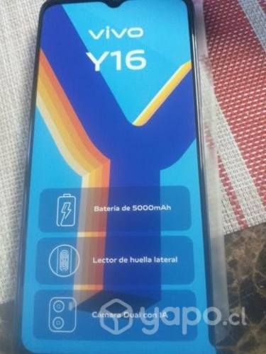 Celular vivo y 16