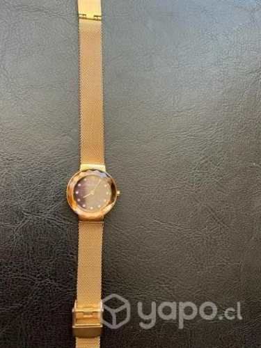 Reloj SKAGEN