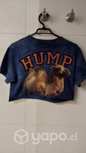 Chaqueta, polera, camisa y corta viento