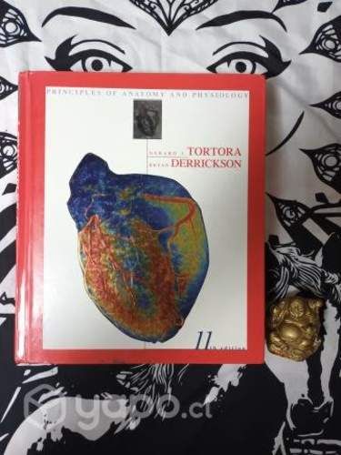 Principios de Anatomía y Fisiología (Inglés)