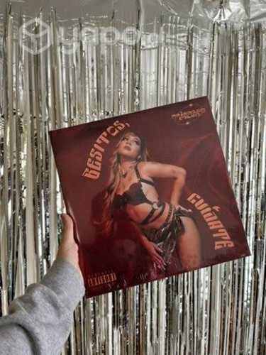Disco vinilo - princesa alba