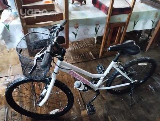 Bicicleta Oxford aro 24
