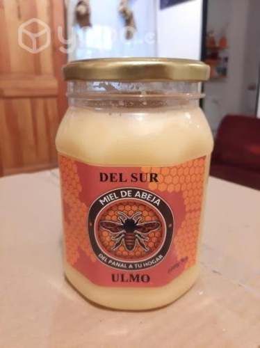 Miel de ulmo zona de Arauco