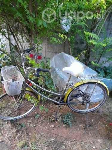 Bcicleta con canasto Oxford Cyclotour Aro 24