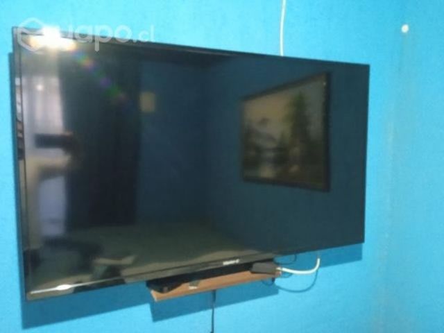 Tv LED 55 "