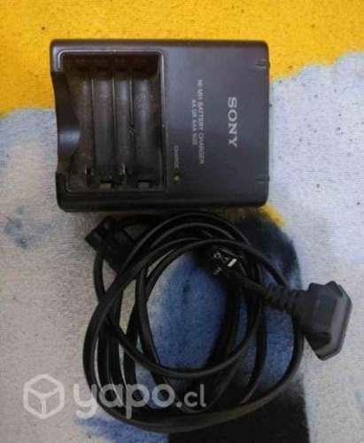 Cargador de pilas recargable