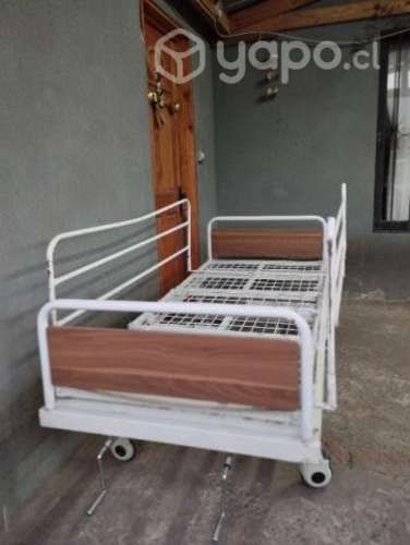 Cama Ortopedica