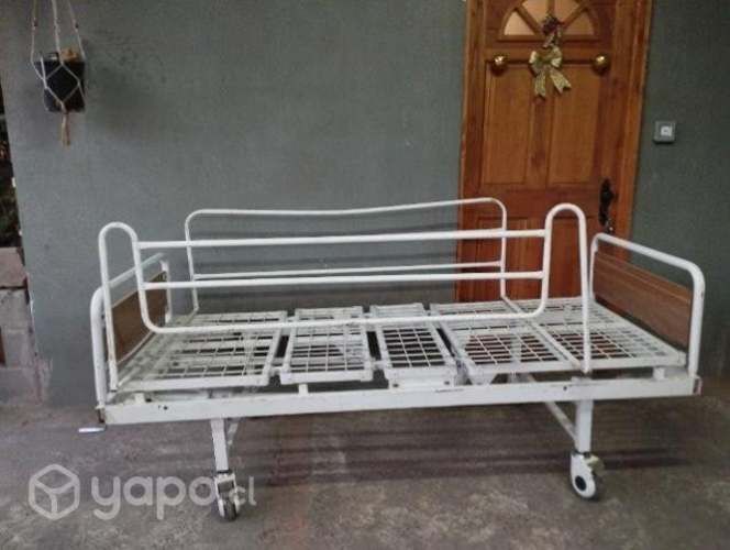 Cama Ortopedica
